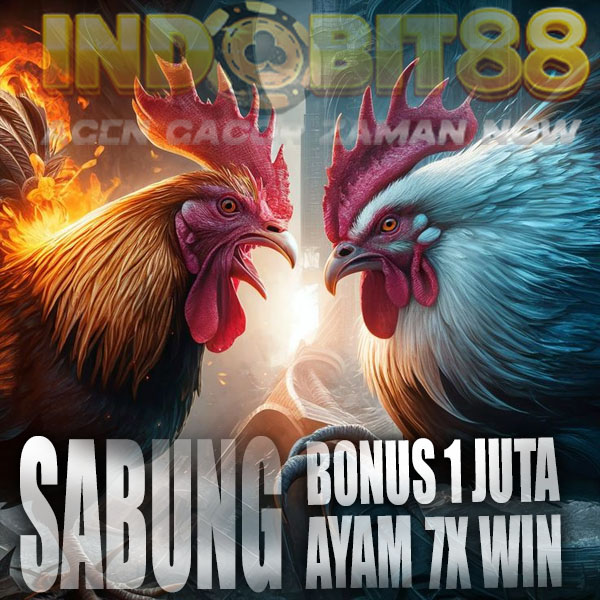 SV388 ! Situs Resmi Agen Judi Sabung Ayam Online 24 Jam Nonstop